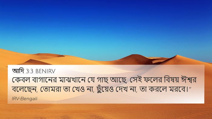 আদি 3:3 BENIRV Bible Verse Image