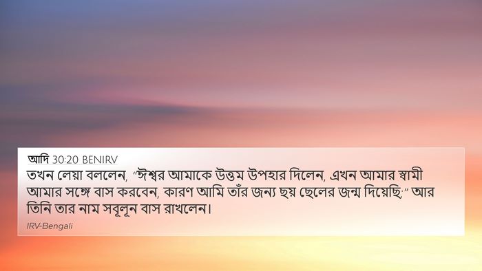 আদি 30:20 BENIRV Bible Verse Image
