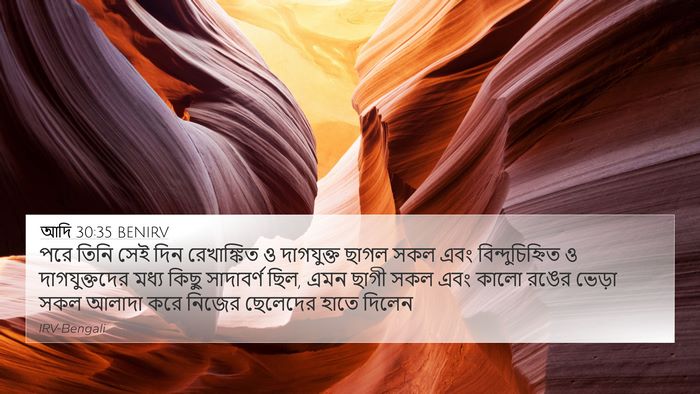 আদি 30:35 BENIRV 4K Wallpaper - পরে তিনি সেই দিন - 4K Wallpaper Bible Verse