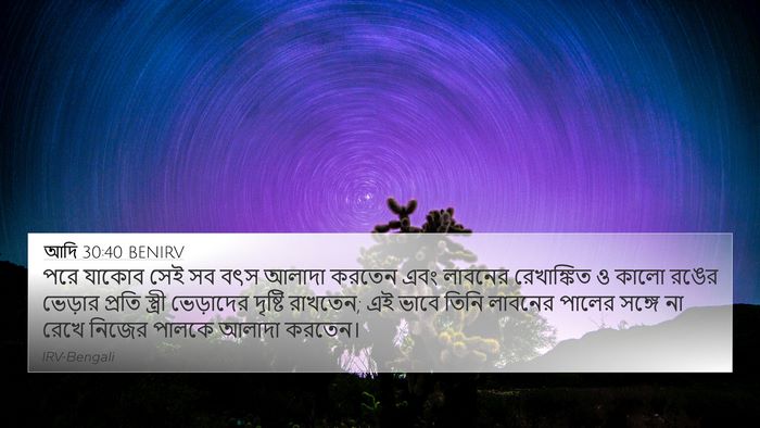 আদি 30:40 BENIRV 4K Wallpaper - পরে যাকোব সেই সব - 4K Wallpaper Bible Verse