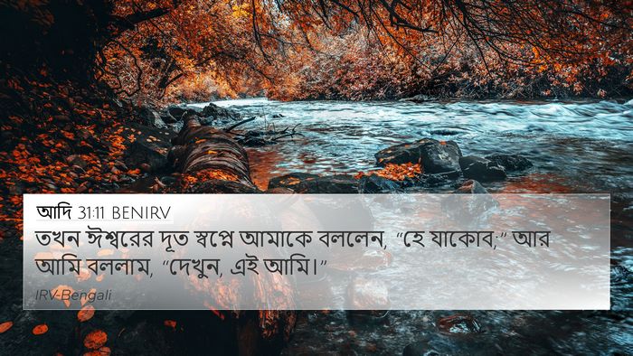 আদি 31:11 BENIRV Bible Verse Image