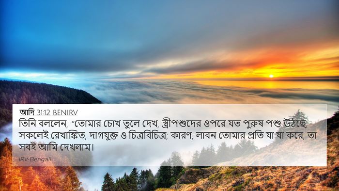 আদি 31:12 BENIRV 4K Wallpaper - তিনি বললেন, “তোমার - 4K Wallpaper Bible Verse