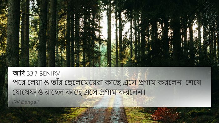 আদি 33:7 BENIRV 4K Wallpaper - পরে লেয়া ও তাঁর - 4K Wallpaper Bible Verse