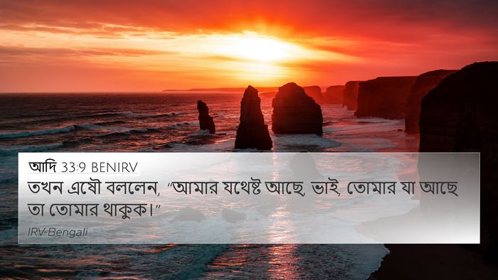 আদি 33:9 BENIRV Bible Verse Image