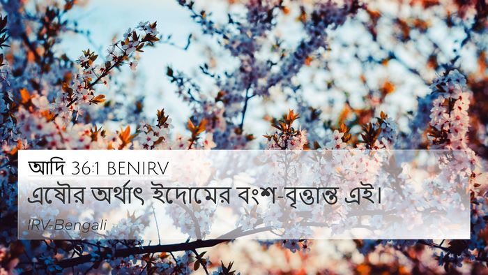 আদি 36:1 BENIRV 4K Wallpaper - এষৌর অর্থাৎ - 4K Wallpaper Bible Verse