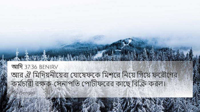 আদি 37:36 BENIRV Bible Verse Image
