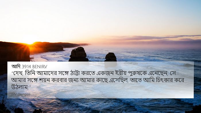 আদি 39:14 BENIRV Bible Verse Image
