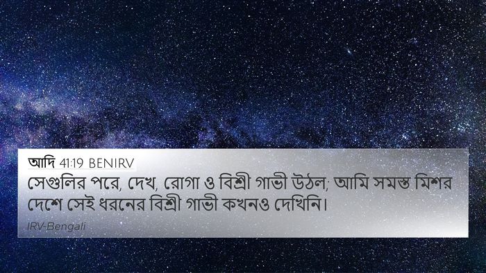 আদি 41:19 BENIRV Bible Verse Image