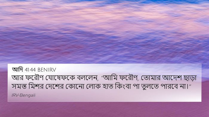 আদি 41:44 BENIRV Bible Verse Image