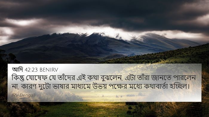 আদি 42:23 BENIRV Bible Verse Image