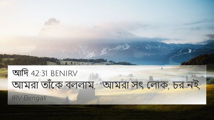 আদি 42:31 BENIRV Bible Verse Image