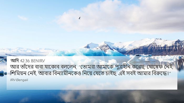 আদি 42:36 BENIRV Bible Verse Image