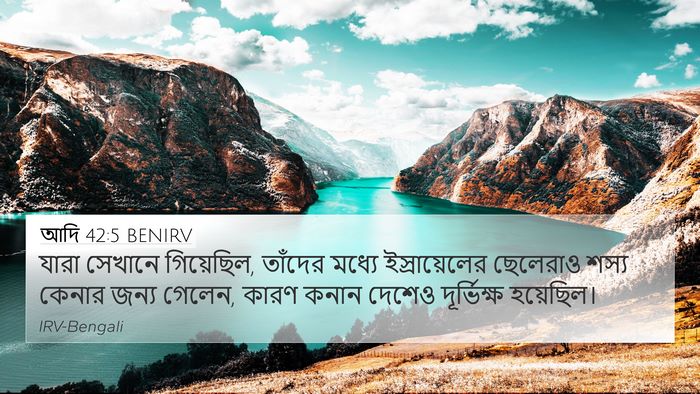 আদি 42:5 BENIRV Bible Verse Image