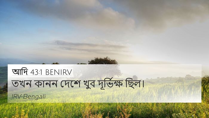 আদি 43:1 BENIRV 4K Wallpaper - তখন কানন দেশে খুব - 4K Wallpaper Bible Verse