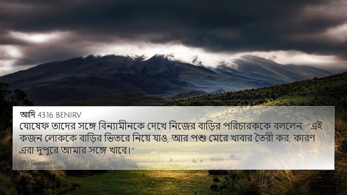 আদি 43:16 BENIRV Bible Verse Image