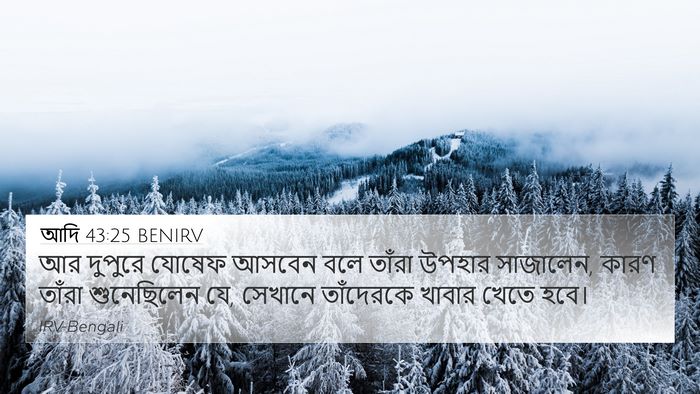 আদি 43:25 BENIRV Bible Verse Image