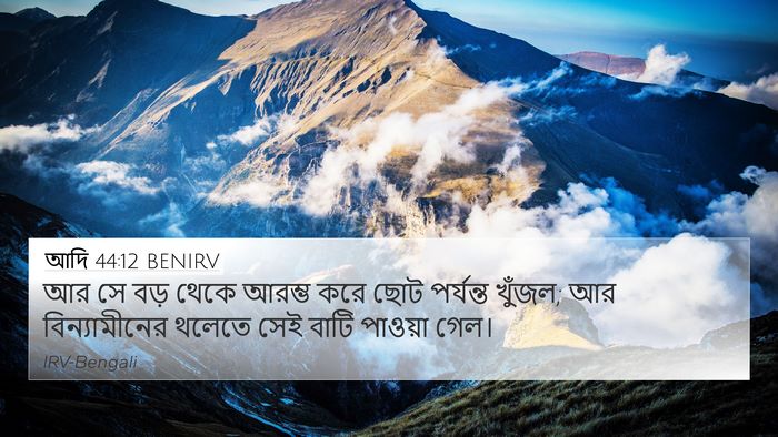 আদি 44:12 BENIRV 4K Wallpaper - আর সে বড় থেকে - 4K Wallpaper Bible Verse