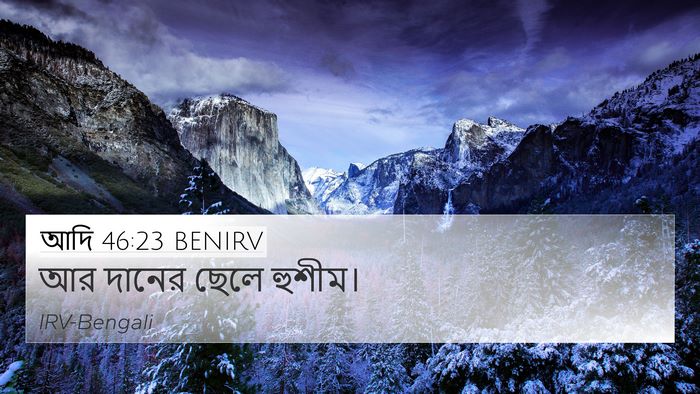 আদি 46:23 BENIRV Bible Verse Image