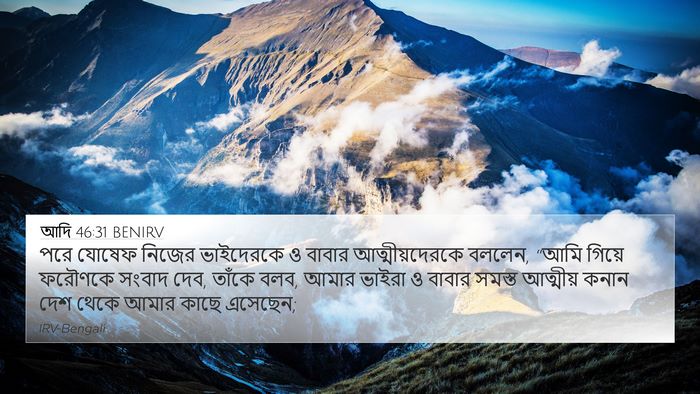 আদি 46:31 BENIRV Bible Verse Image
