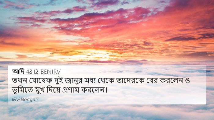আদি 48:12 BENIRV 4K Wallpaper - তখন যোষেফ দুই - 4K Wallpaper Bible Verse