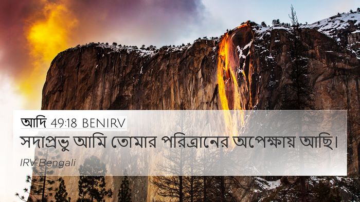 আদি 49:18 BENIRV Bible Verse Image