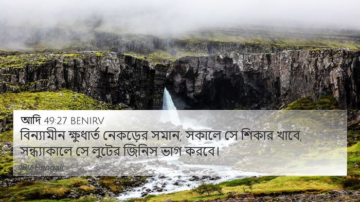 আদি 49:27 BENIRV Bible Verse Image