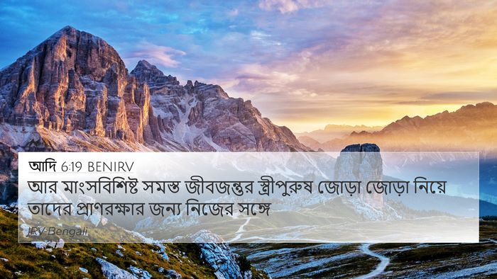 আদি 6:19 BENIRV Bible Verse Image