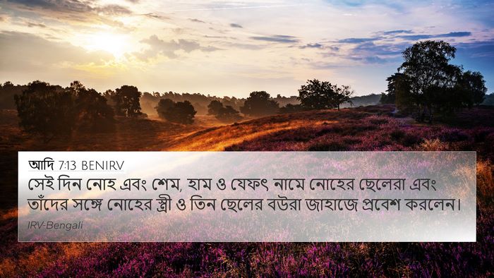 আদি 7:13 BENIRV Bible Verse Image