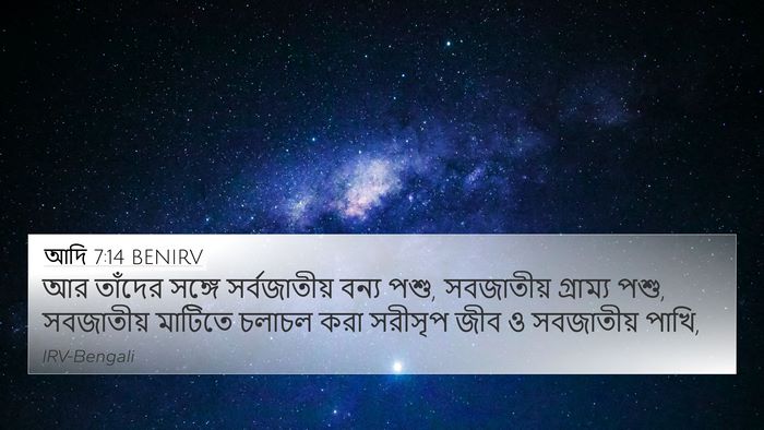 আদি 7:14 BENIRV 4K Wallpaper - আর তাঁদের সঙ্গে - 4K Wallpaper Bible Verse