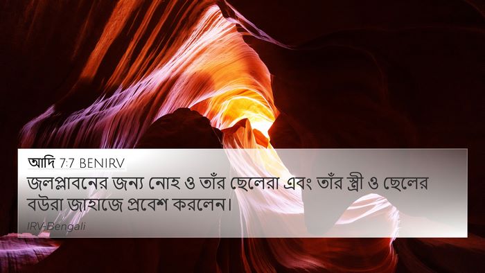 আদি 7:7 BENIRV Bible Verse Image
