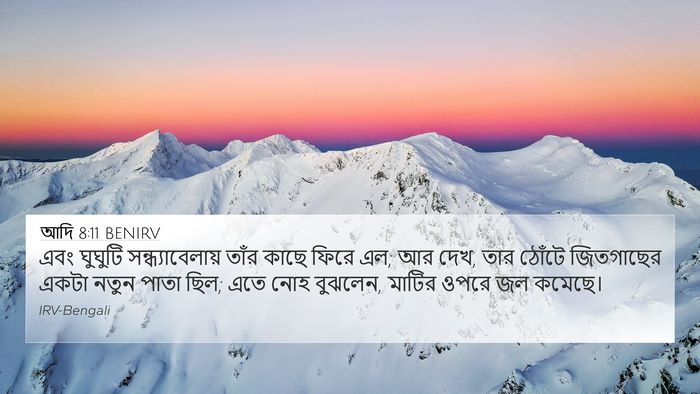 আদি 8:11 BENIRV Bible Verse Image