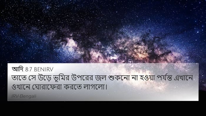 আদি 8:7 BENIRV Bible Verse Image