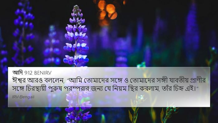 আদি 9:12 BENIRV Bible Verse Image