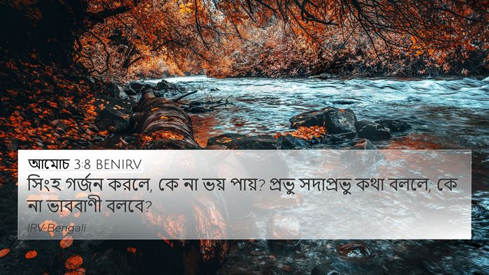 আমোচ 3:8 BENIRV Bible Verse Image