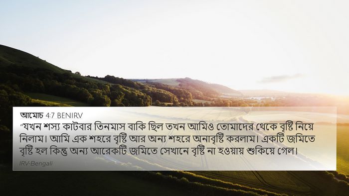 আমোচ 4:7 BENIRV Bible Verse Image