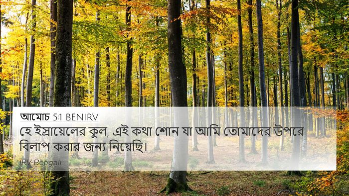 আমোচ 5:1 BENIRV Bible Verse Image