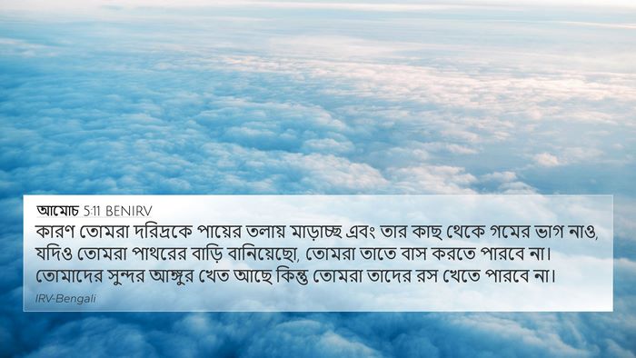 আমোচ 5:11 BENIRV Bible Verse Image