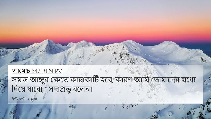 আমোচ 5:17 BENIRV 4K Wallpaper - সমস্ত আঙ্গুর - 4K Wallpaper Bible Verse