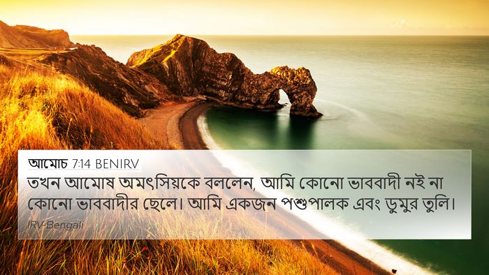 আমোচ 7:14 BENIRV Bible Verse Image