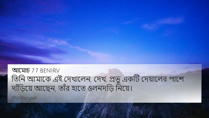 আমোচ 7:7 BENIRV Bible Verse Image