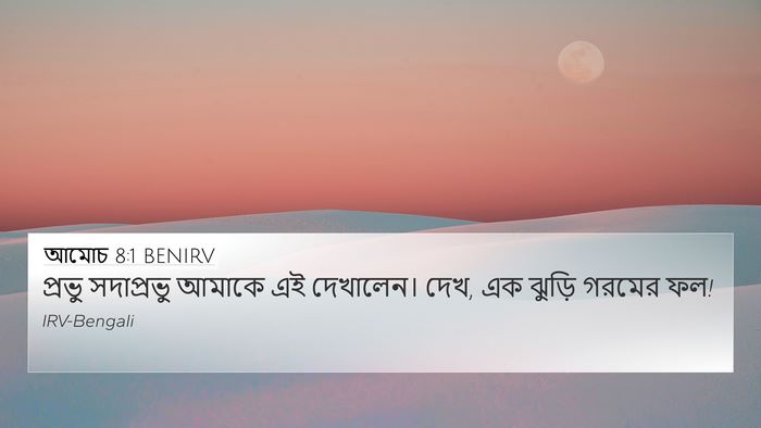 আমোচ 8:1 BENIRV Bible Verse Image