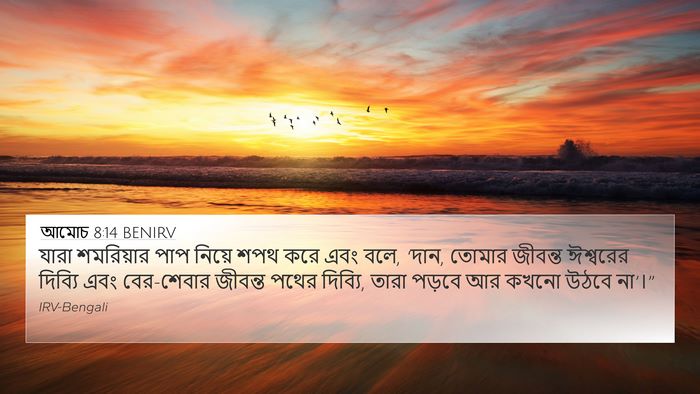 আমোচ 8:14 BENIRV Bible Verse Image