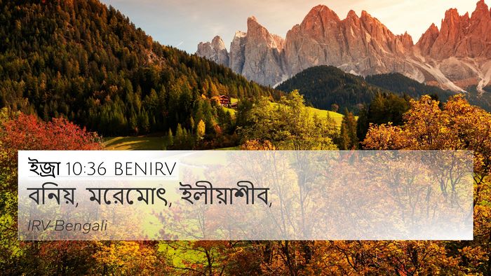 ইজ্ৰা 10:36 BENIRV 4K Wallpaper - বনিয়, মরেমোৎ, - 4K Wallpaper Bible Verse