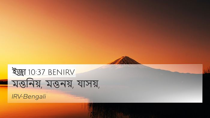 ইজ্ৰা 10:37 BENIRV 4K Wallpaper - মত্তনিয়, মত্তনয়, - 4K Wallpaper Bible Verse