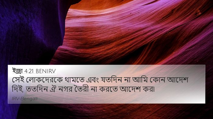 ইজ্ৰা 4:21 BENIRV 4K Wallpaper - সেই লোকদেরকে - 4K Wallpaper Bible Verse