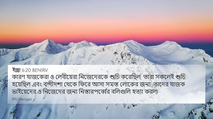 ইজ্ৰা 6:20 BENIRV Bible Verse Image