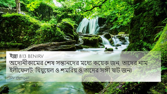 ইজ্ৰা 8:13 BENIRV Bible Verse Image