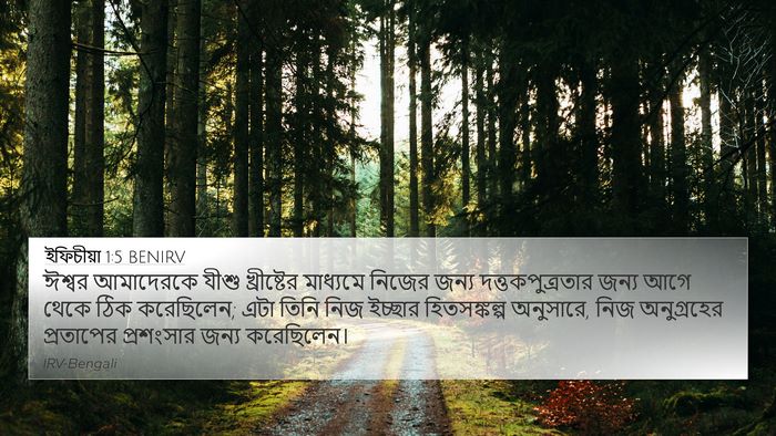 ইফিচীয়া 1:5 BENIRV Bible Verse Image