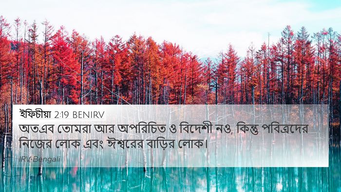 ইফিচীয়া 2:19 BENIRV Bible Verse Image