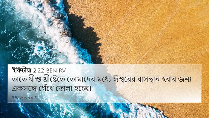 ইফিচীয়া 2:22 BENIRV Bible Verse Image